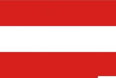 Bandiera Austria 20 x 30 cm 
