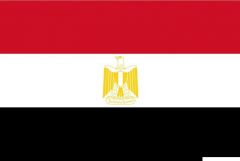 Bandiera Egitto 20 x 30 cm 