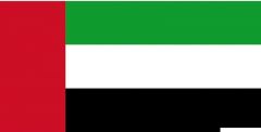 Bandiera Emirati Arabi Uniti 20 x 30 cm 