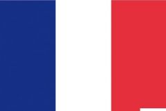 Bandiera Francia 20 x 30 cm 