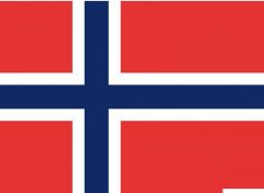 Bandiera Norvegia 40 x 60 cm 