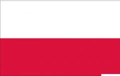 Bandiera Polonia 40 x 60 cm 