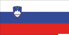 Bandiera Slovenia 70 x 100 cm 