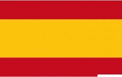 Bandiera Spagna 20 x 30 cm 