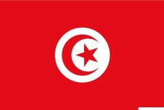 Bandiera Tunisia 20 x 30 cm 