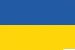 Bandiera Ucraina 70 x 100 cm 