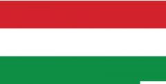 Bandiera Ungheria 20 x 30 cm 