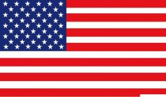 Bandiera USA 20 x 30 cm 