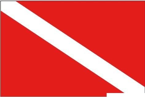 AZ FLAG Bandiera Citt&agrave; Di Torino Con Stemma 150x90cm - Bandiera