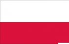 Bandiera Polonia 30 x 45 cm 