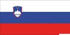 Bandiera Slovenia 20 x 30 cm 