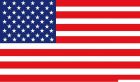 Bandiera USA 40 x 60 cm 